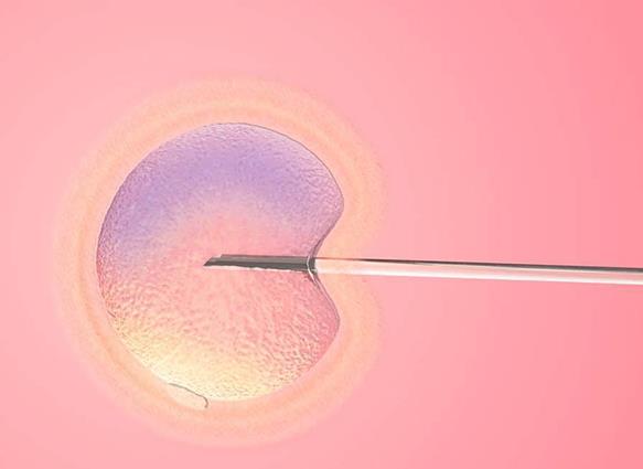 鲜胚移植不成功的四个征兆分享，详解腹痛出血的注意事项